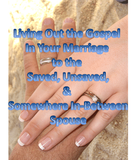 HSN: Living Out the Gospel In Your Marriage to the Saved, Unsaved, and Somewhere In Between Husband by Jenn Hoskins
