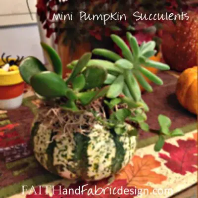 ACTIVITY: Succulent Mini Pumpkin Table Decoration