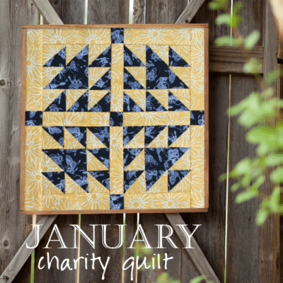 Charity Quilt 2017 January 2