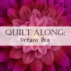 Quilt Along: Dream Big